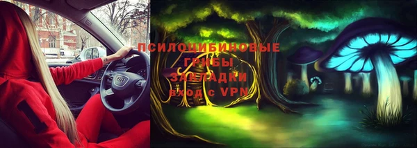 PSILOCYBIN Гусь-Хрустальный