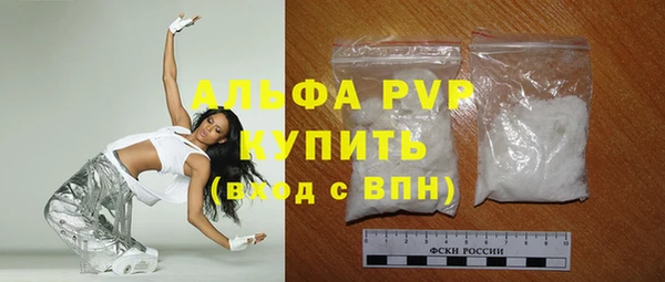 PSILOCYBIN Гусь-Хрустальный