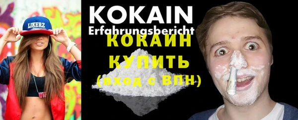 PSILOCYBIN Гусь-Хрустальный