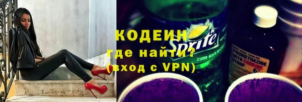 PSILOCYBIN Гусь-Хрустальный