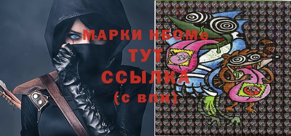PSILOCYBIN Гусь-Хрустальный