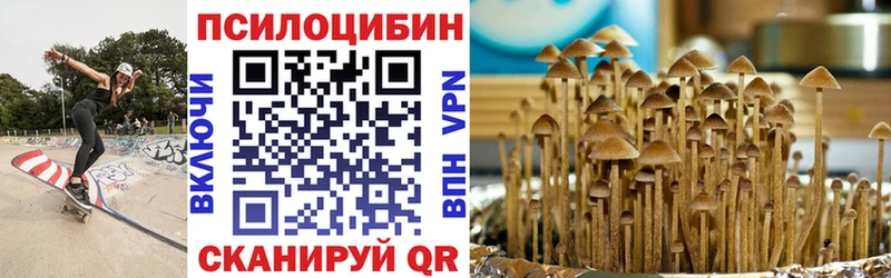 Купить где  Рыльск  Псилоцибиновые грибы Psilocybine cubensis 